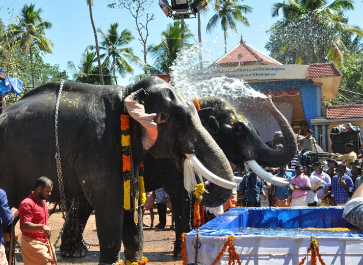 Anayoottu & Homam photo 3