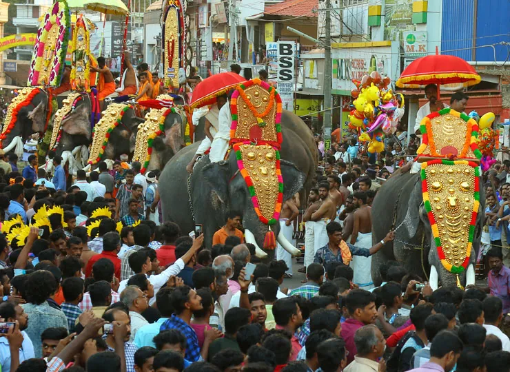 Thazhuthala Gajolsavam photo 3