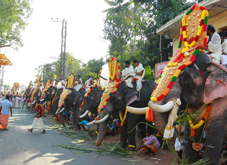 Utsavam 2018 Celebrations photo 2