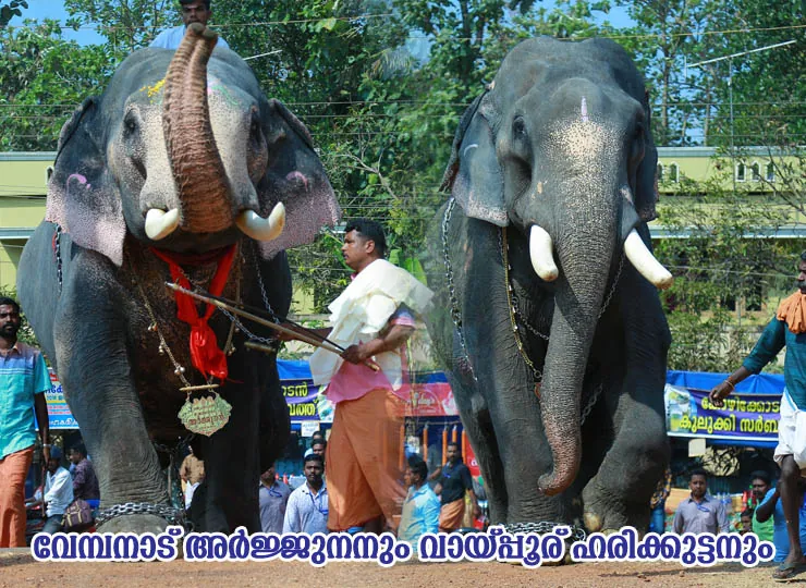 Utsavam 2018 Celebrations photo 8