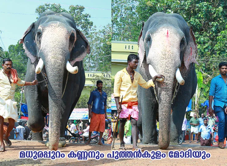 Utsavam 2018 Celebrations photo 9