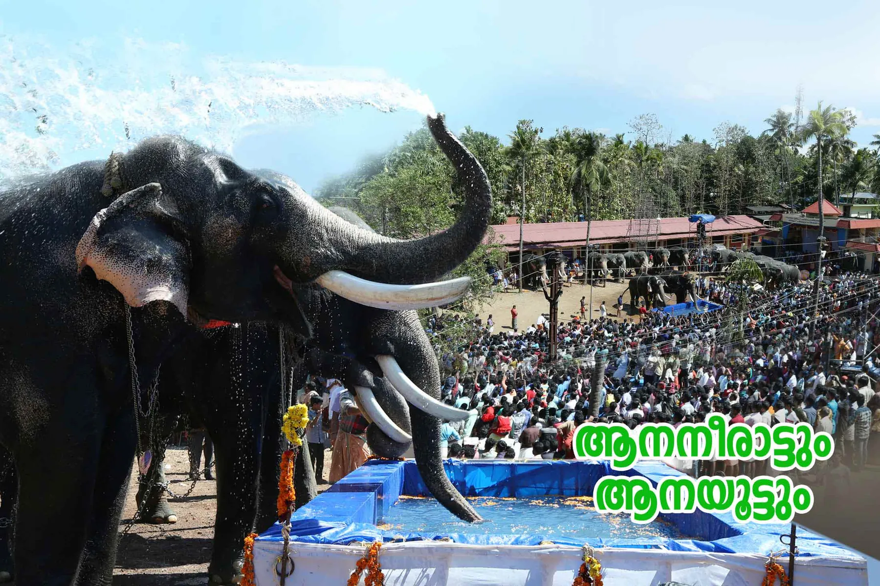 Thazhuthala Sree Maha Ganapathi Temple Banner 9